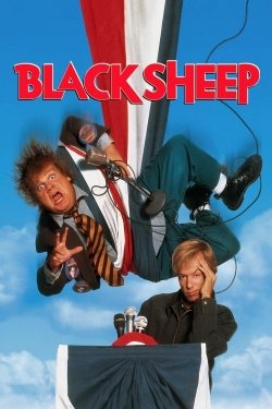 Black Sheep